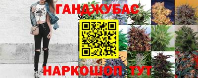 соль ск Борзя