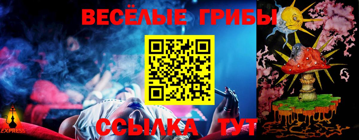 Галлюциногенные грибы Psilocybe  Вход с VPN  Вольск 