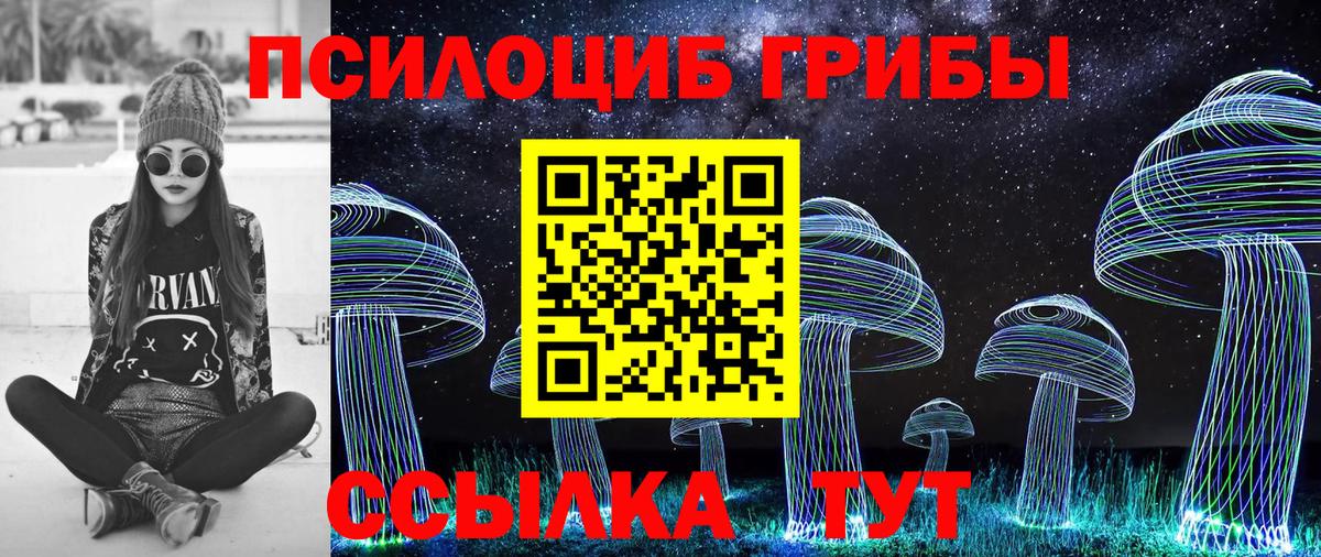Галлюциногенные грибы Magic Shrooms Вольск